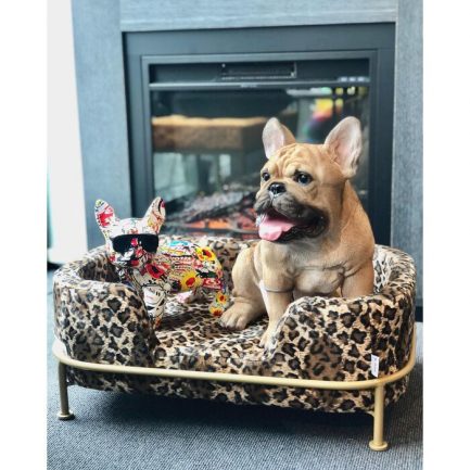 Magnifique figurine décorative style pop art multicolore Comic Dog Glasses de la marque Kare Design exposé dans un panier pour chien avec une autre figurine bulldog